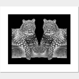 Two Leopards Posters and Art